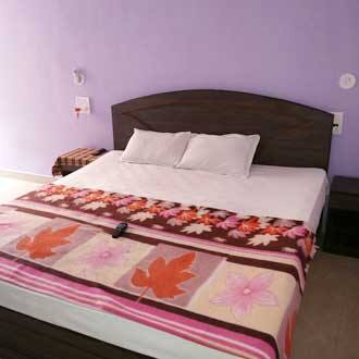 Karnis Palace, Goa 2